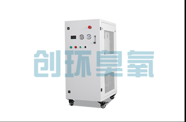 桥西工厂化养鲈必看:2026年臭氧发生器替代传统消毒的最新方案