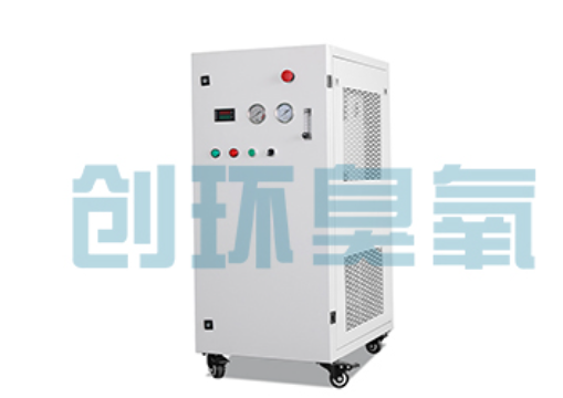 桥西石斑鱼养殖水质调控完整指南:臭氧发生器配置与操作步骤